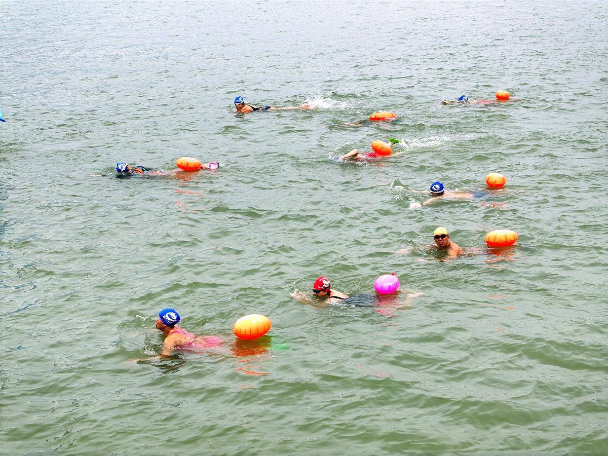 冰冷的江浪！近500名冬泳者跨越巴托三峡