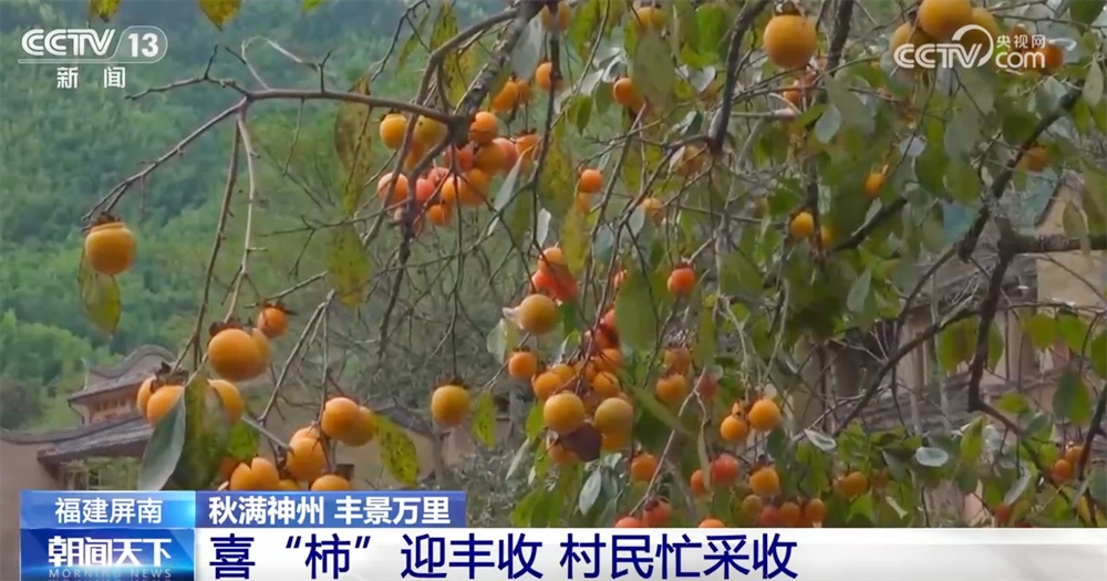 古村落，一曲传统与现代的“交响乐”，呈现出