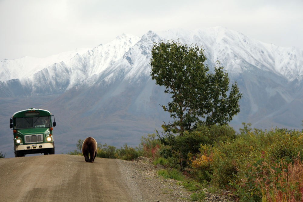 美国宣布计划恢复阿拉斯加石油和天然气开发
