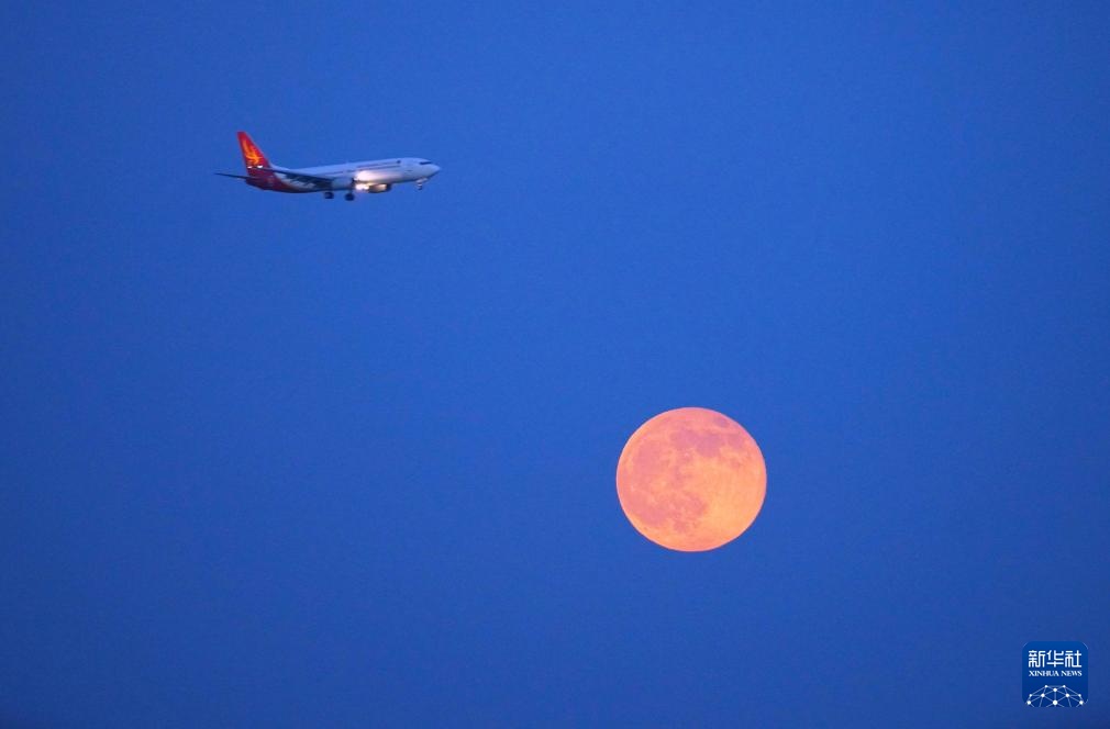“超级月亮”悬挂在天空中