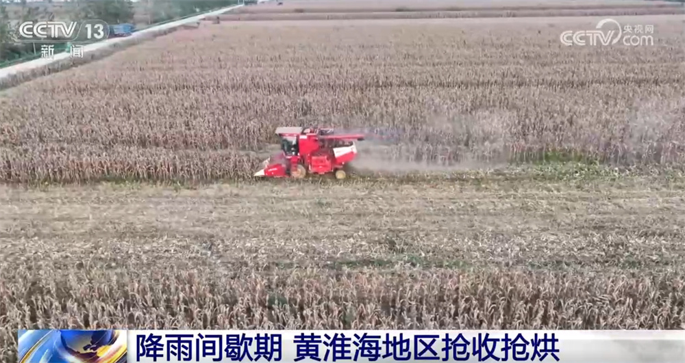 为确保秋粮丰收，各地“抢收抢烧”，全力打好