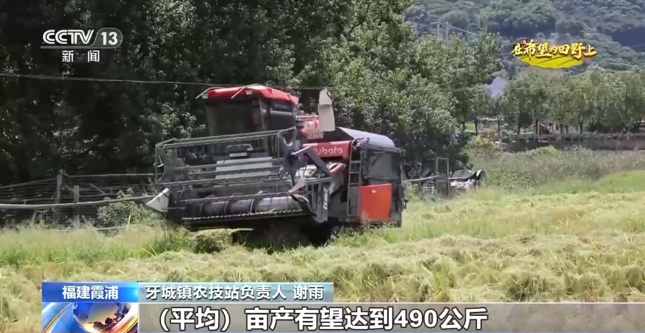 新品种、新技术、稻薯轮作……助力农民增产增