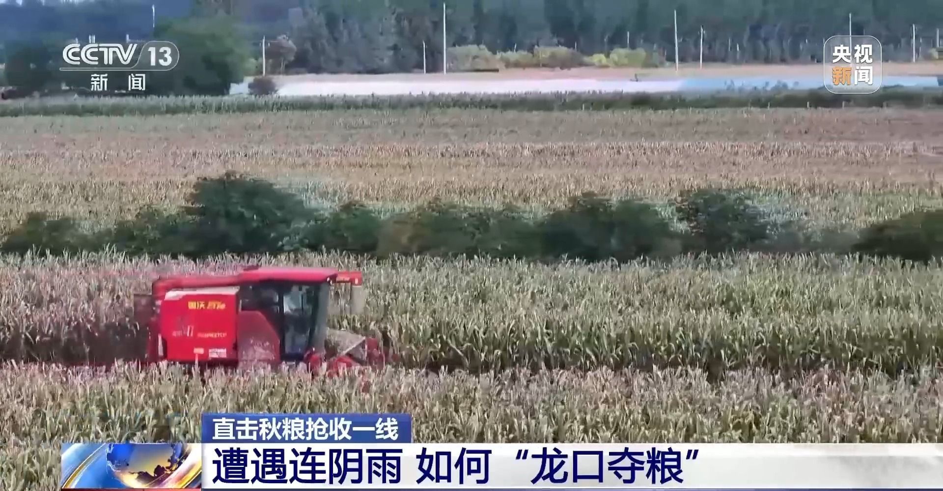 连续阴雨天气，怎样才能保证丰收？总部记者聚