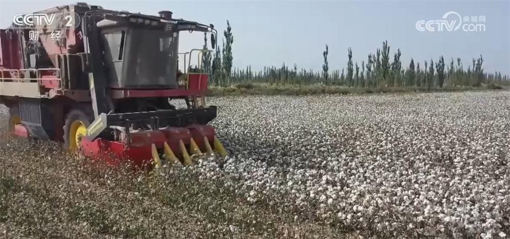 良好的机会和类型将有助于在黄金秋季绘制美丽