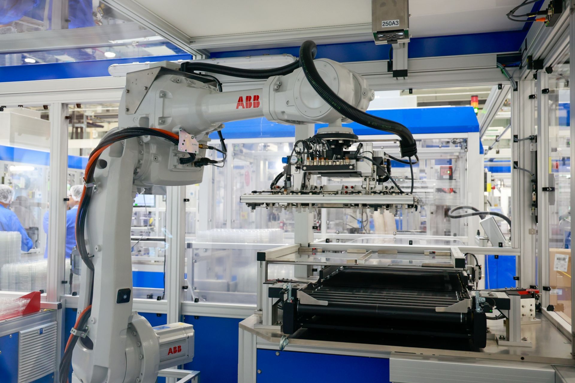 中瑞合作持续发展