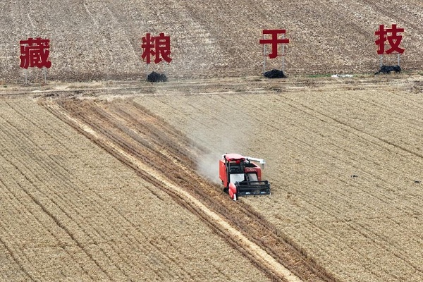 【高质量发展看陕西】乡村振兴，这里“枫”景