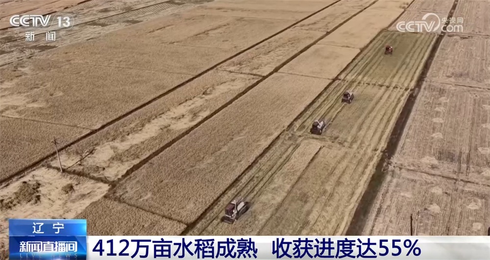 秋季良田造就“丰饶”景观，机械化加速乡村振
