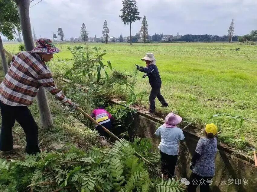 云梦：节后农忙换气，良田秋收增收。