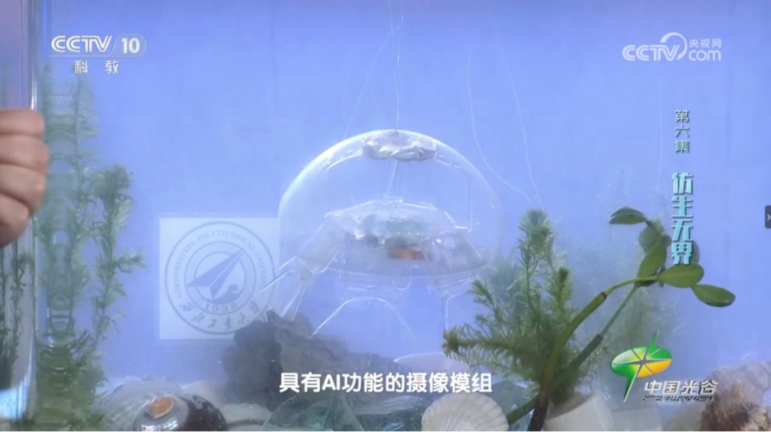 NPU成功构建！在水中肉眼几乎无法察觉 →