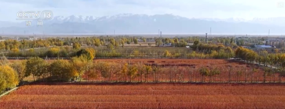 吃、赏、玩同频共振占据“C位”农业新吃法、新玩法助力产业走出“微笑曲线”(图1)