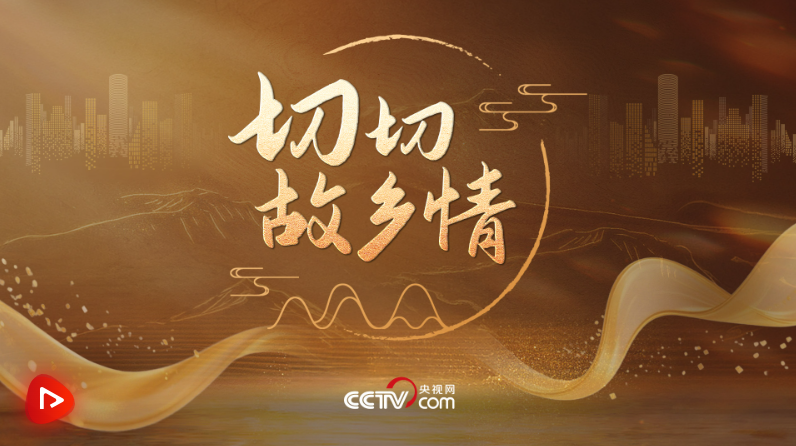 微观视频|精确的家庭爱