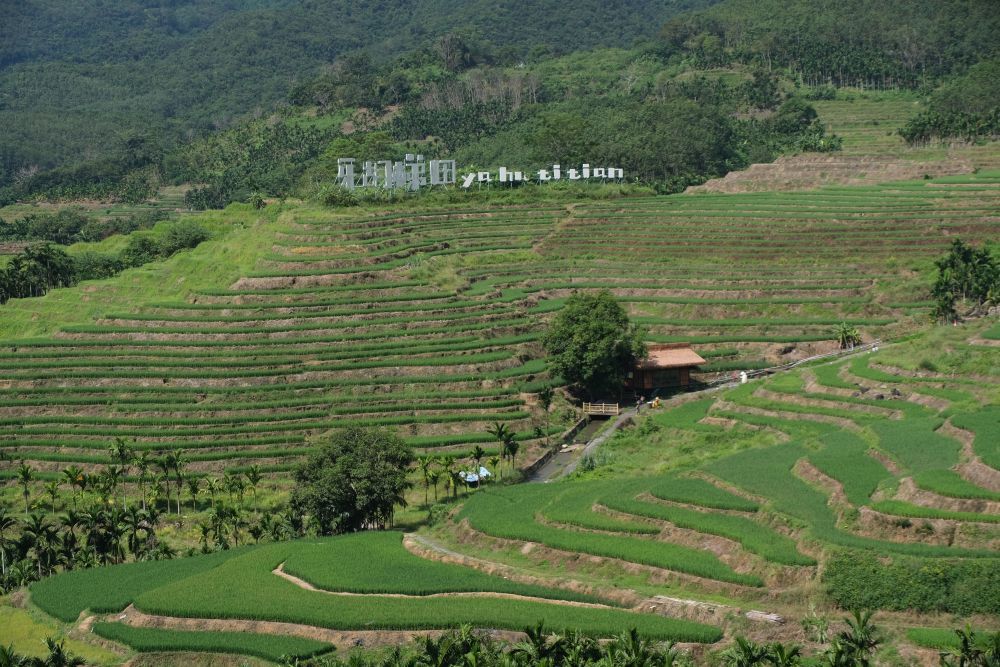 五山：以“绿色”为基础、“文化”为灵魂，描