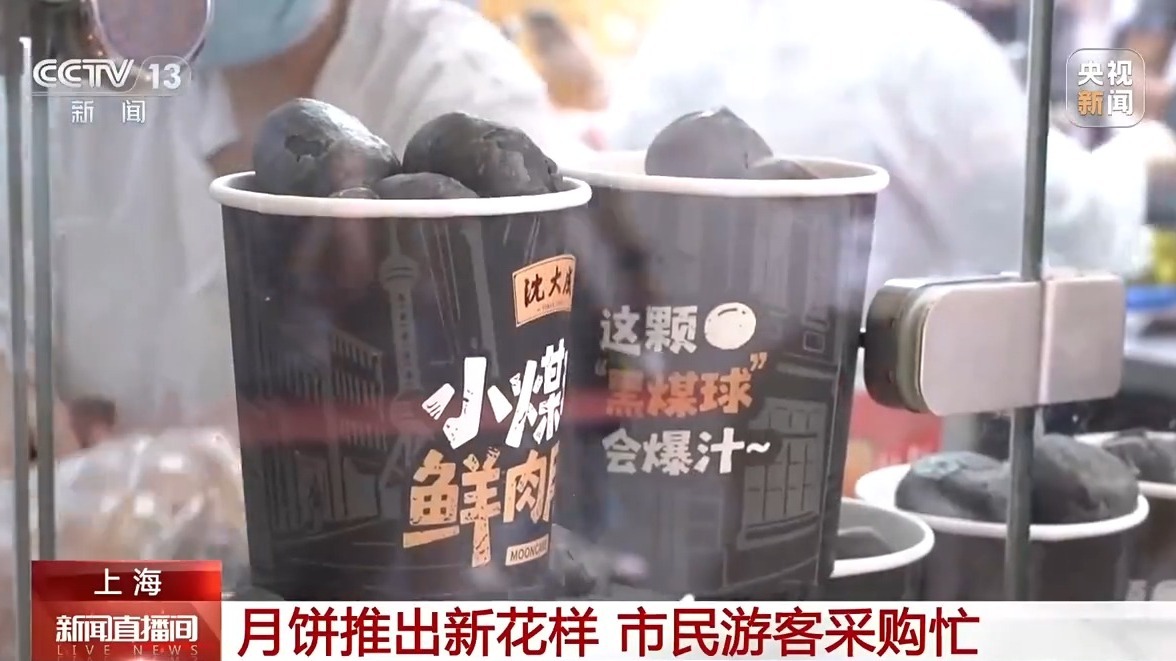 小型煤球，莱昂舞和葡萄柚模型在这里。