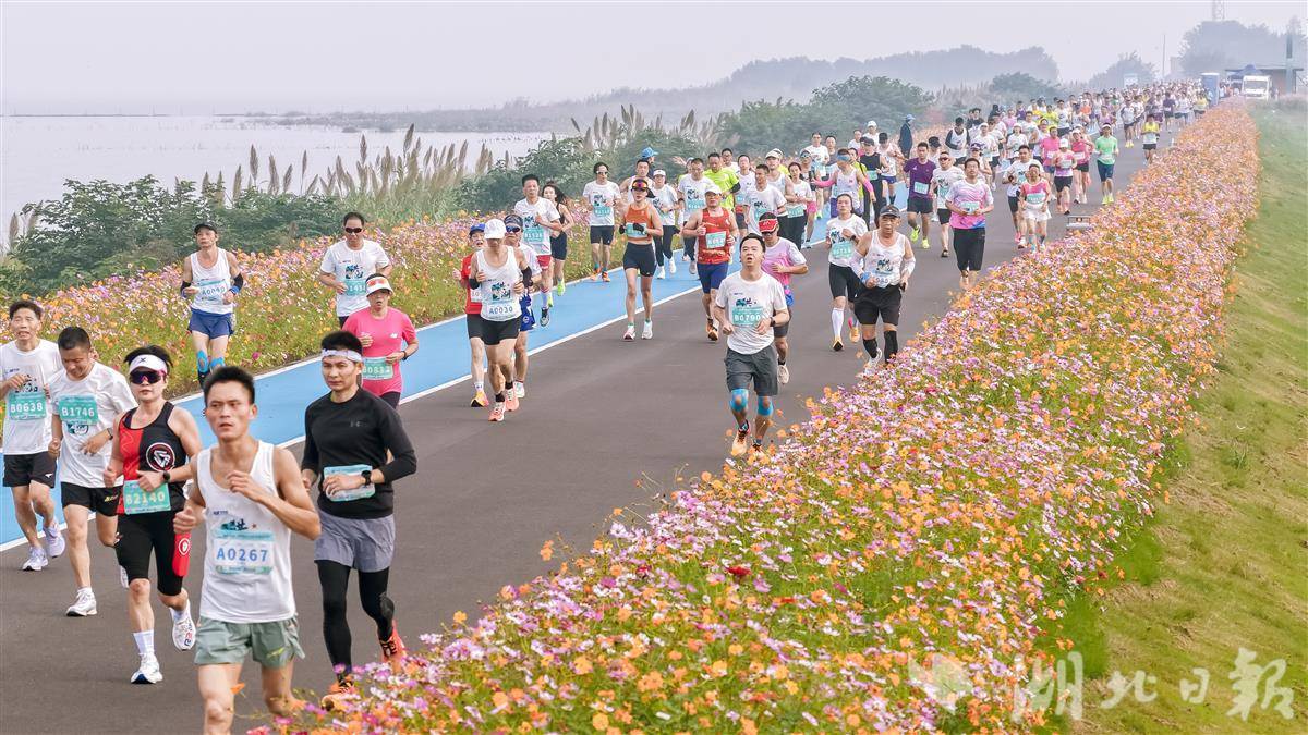 友好铁军出征，守护美丽