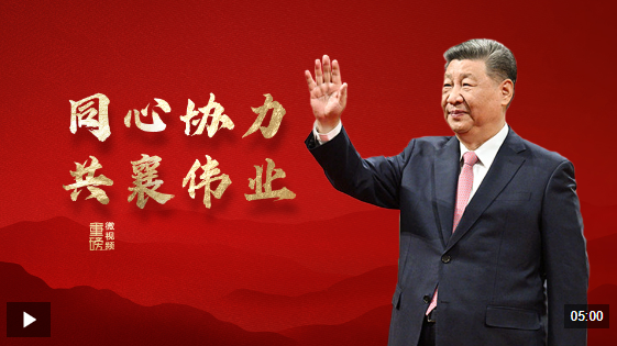 实现原因的最大的微型视频团队
