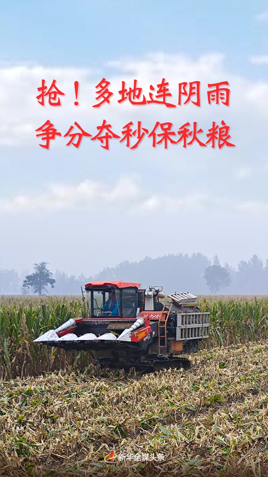 偷!很多地方连续下雨,保存秋季食材就是与时