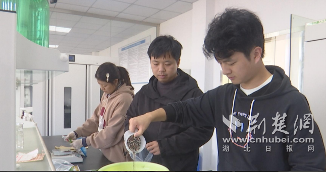 钟祥市气象局携手华中农业大学开展油菜丰产试