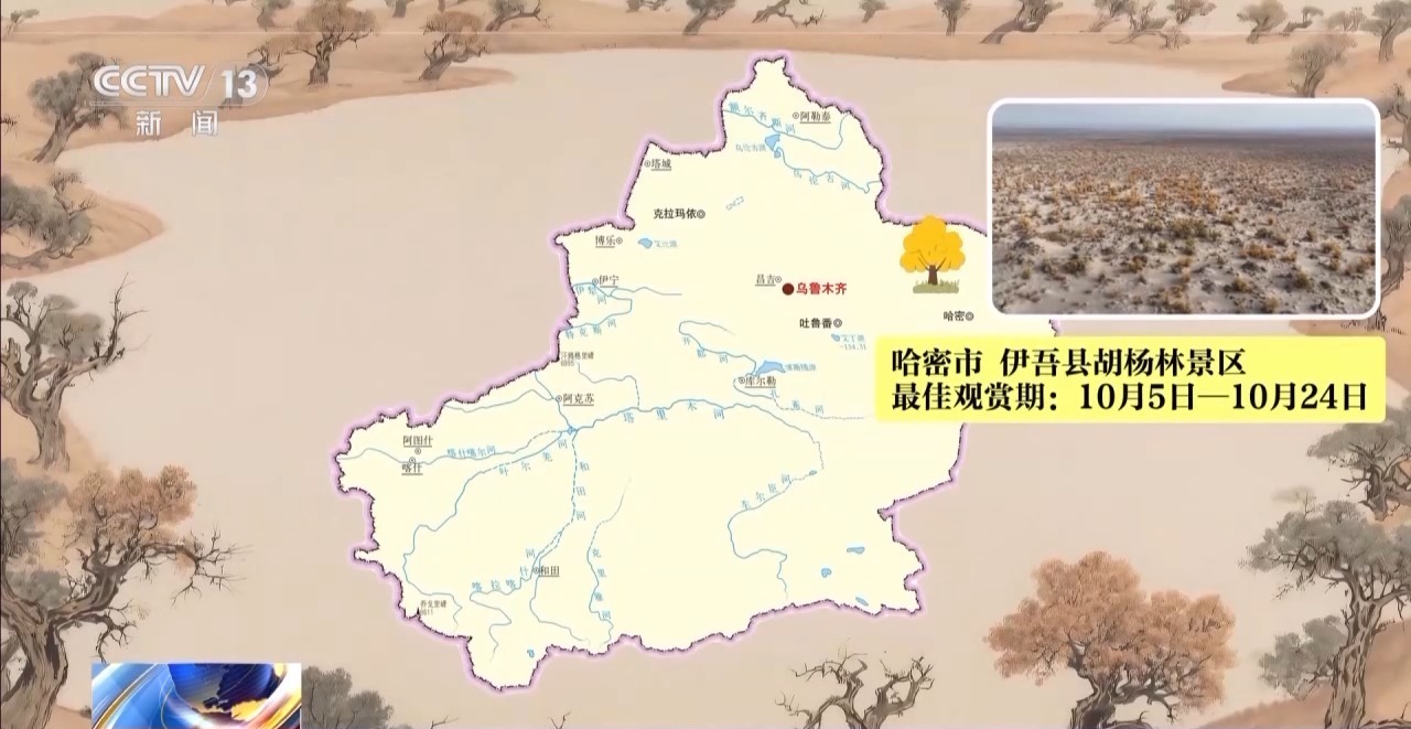 这些密码告诉你千年胡杨是如何上锁的