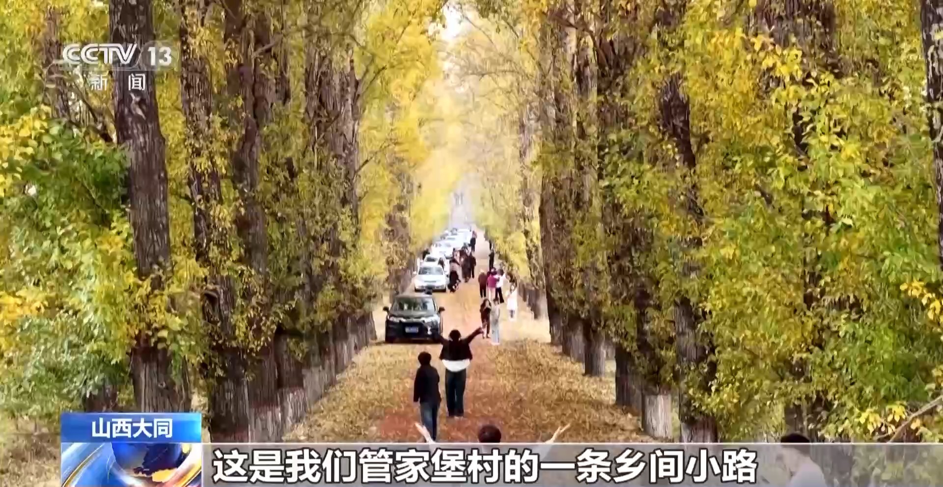 查一下《乌塔斯大道》拍张照，这将是秋
