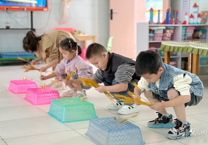 红安县政府幼儿园开展“光盘”教育主题活动