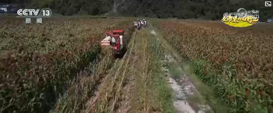 ɫũҵӭգе+ģʽ巢չ·ġ