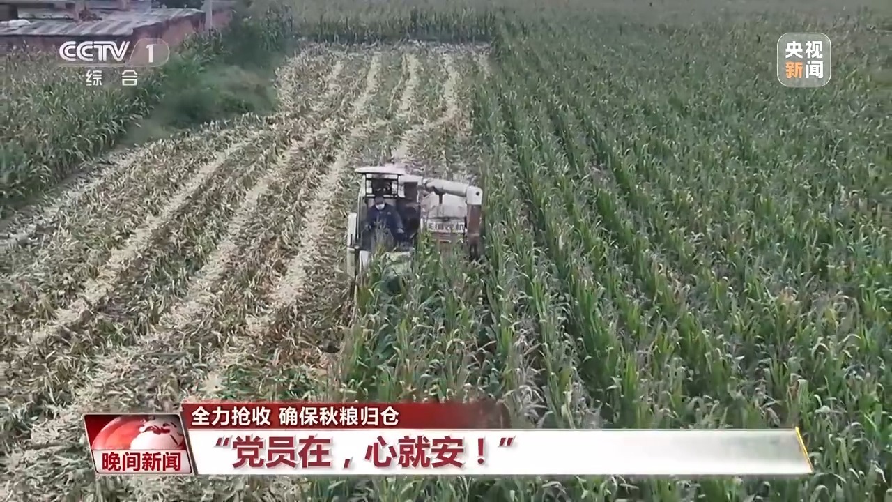秋雨急，收割忙。河南搬