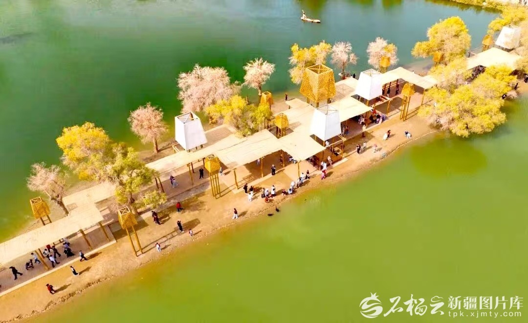 我希望新江是一个更好的地方