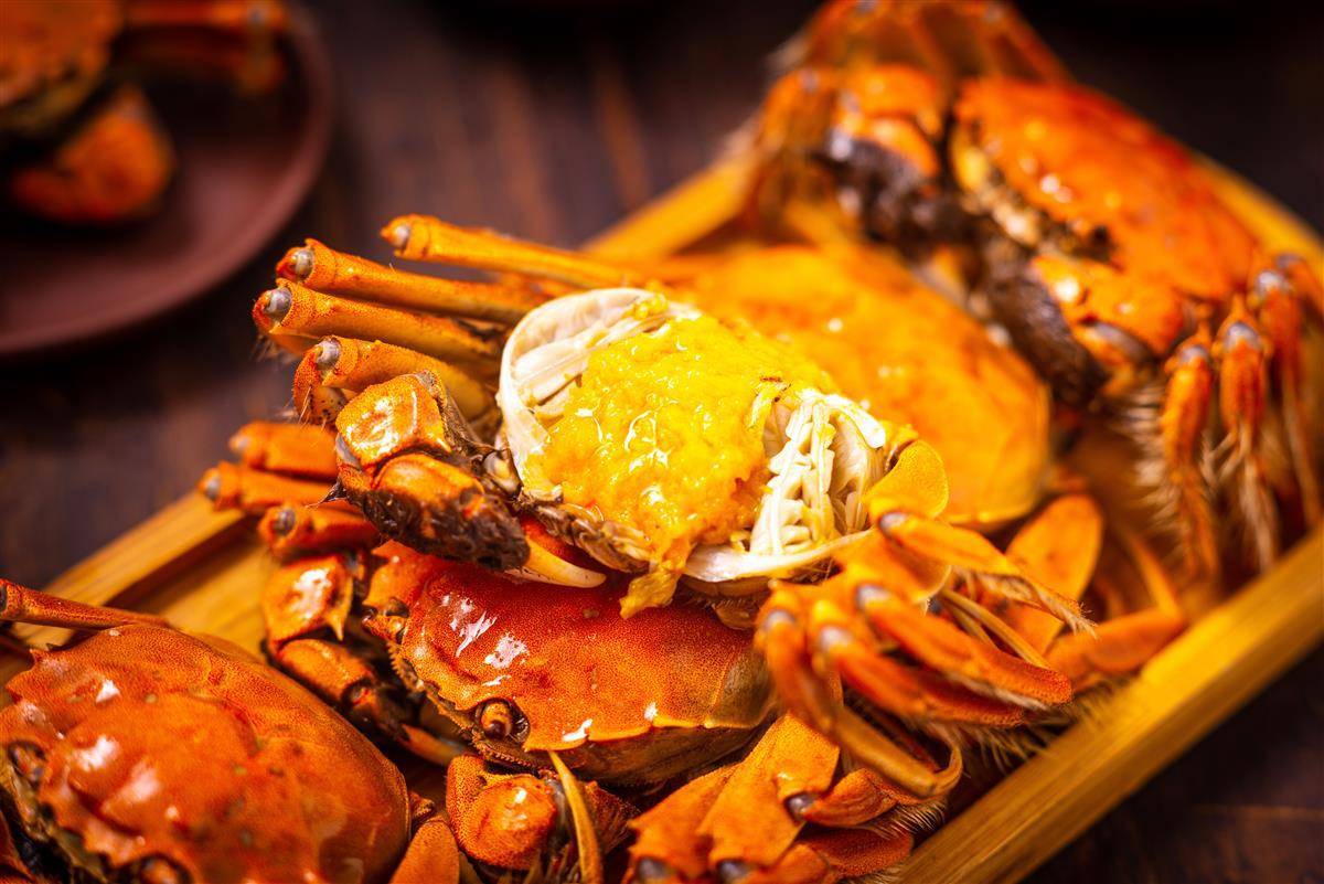 东湖快树｜螃蟹卡请名人为自己说话，为何不让螃蟹“说话”？