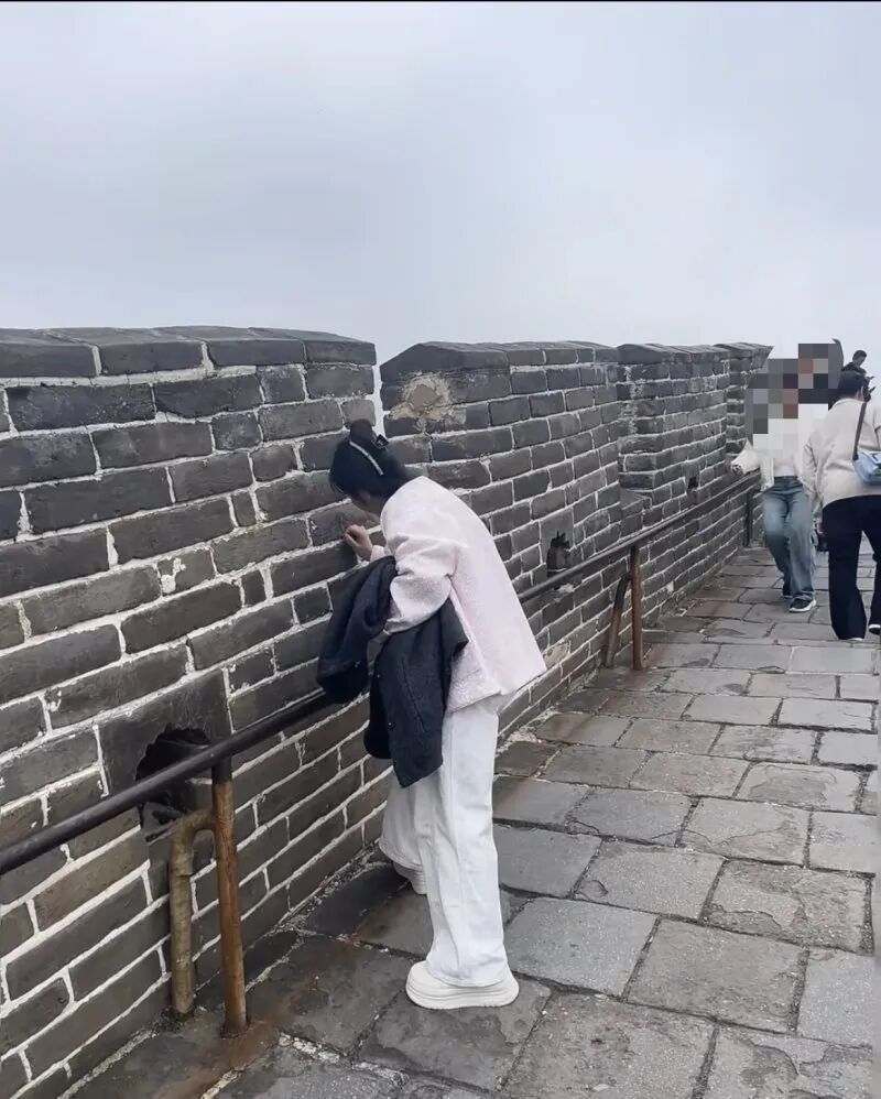 ˵һŮ˰Ļйĳ𣿾ӦΥΪ