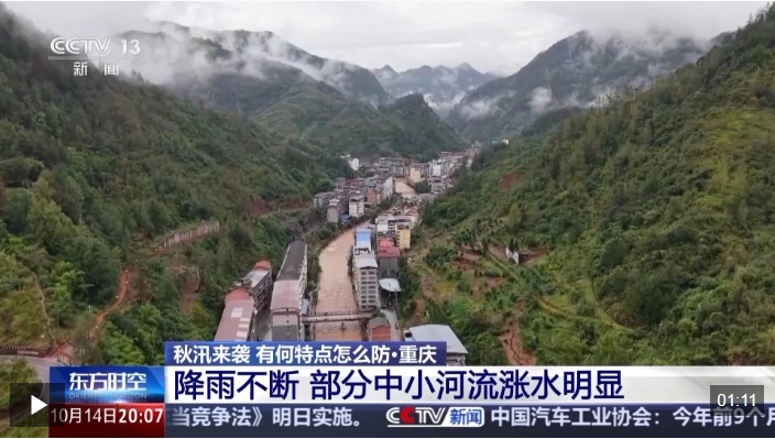 今年秋洪有哪些特点？