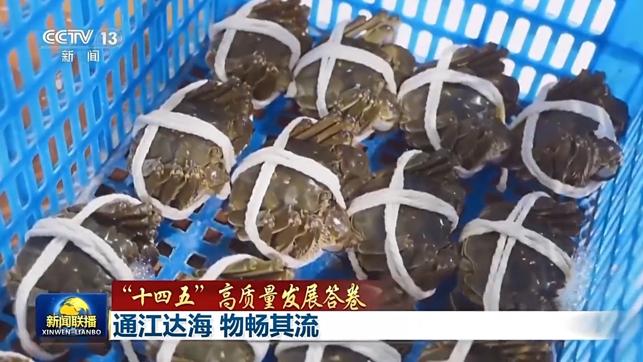 “十四五”高质量发展答卷丨连通江海、畅通货