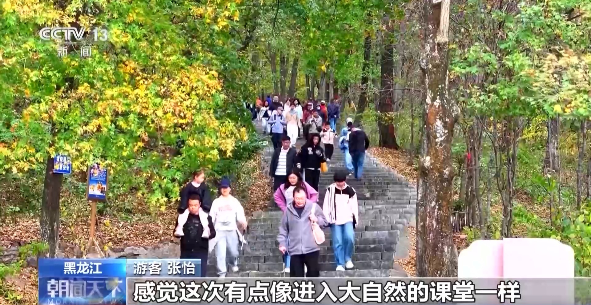 DIY树叶、制作漆扇、逛逛购物区……这些都是有趣又令人兴奋的活动。