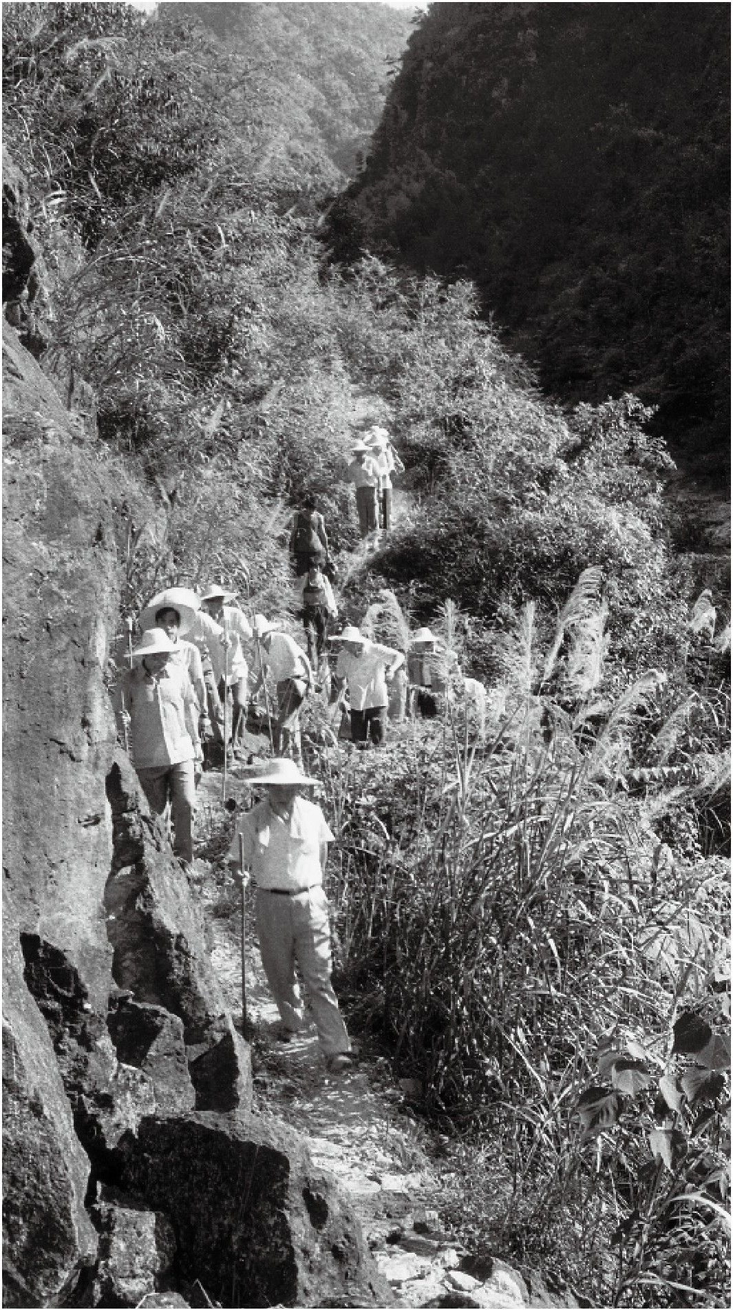 学习/历史丨这种对老人的尊重源自习近平的内心，并践行在行动中。