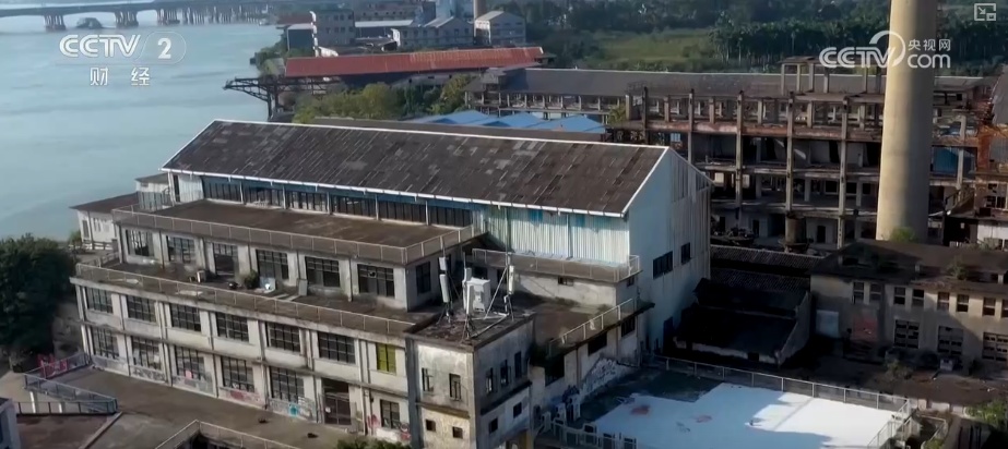 从单点成功到全球开花，多视角看中国电影日新