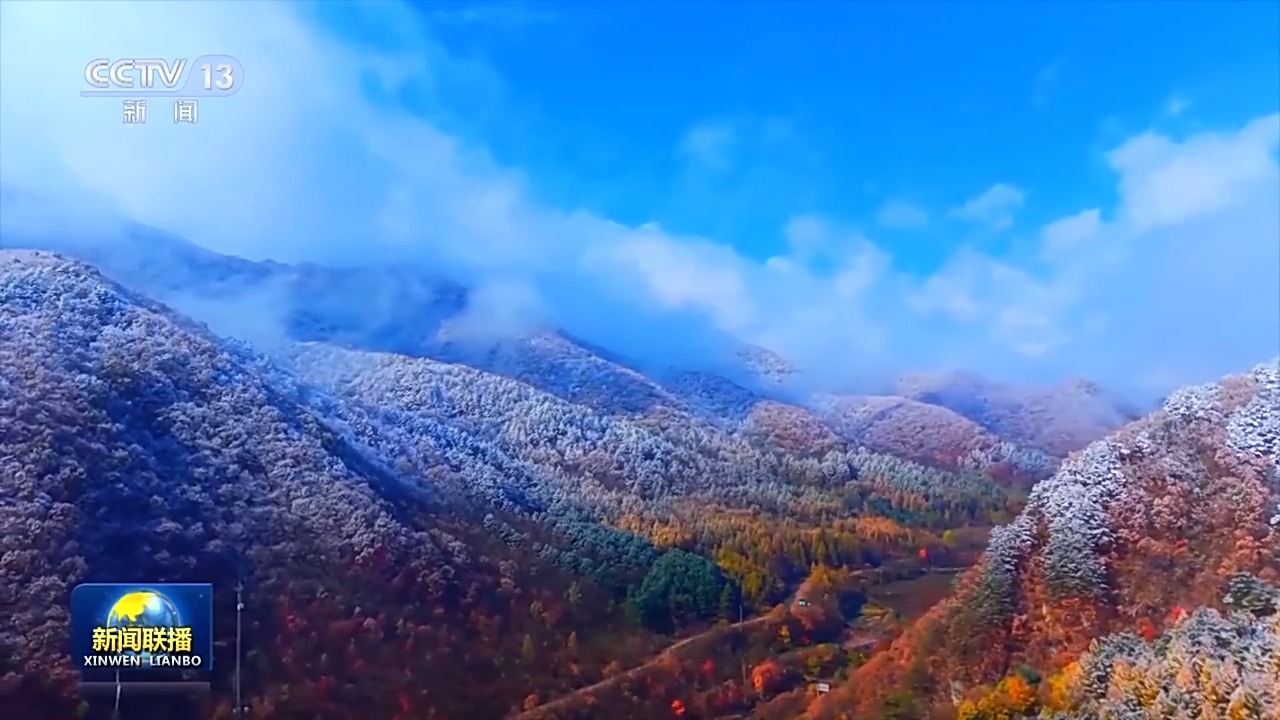 中国文化游丨二十四节气·霜降霜降见霜，米粒全