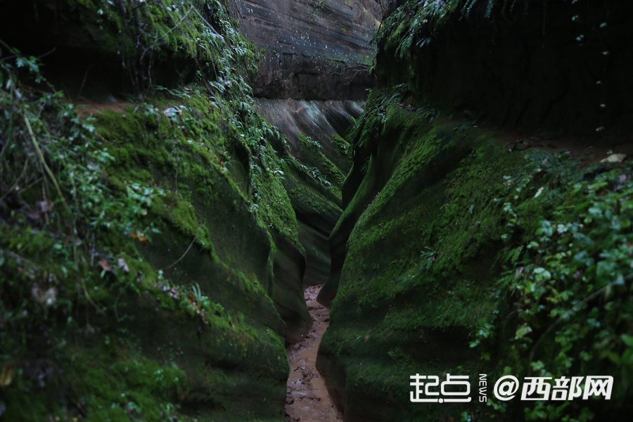 甘泉大峡谷蝴蝶谷：大自然雕琢的“破茧成蝶”