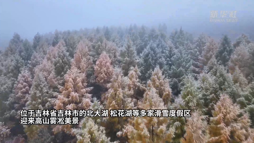 降雪迎雾凇，吉林省滑雪场“凝聚力量”迎接新