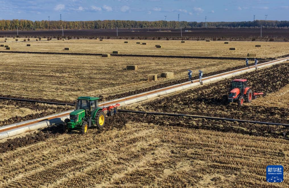 霜冻期间农事繁忙
