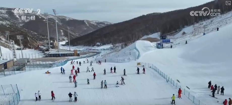 一季到四季；小众到大众！创新重构冰雪产业链冰雪消费释放新增完美体育网站长点(图12)
