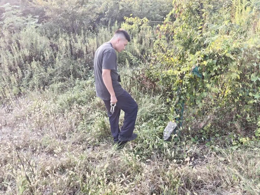 女子草丛中藏11万张钞票！警方追回664,300吗？