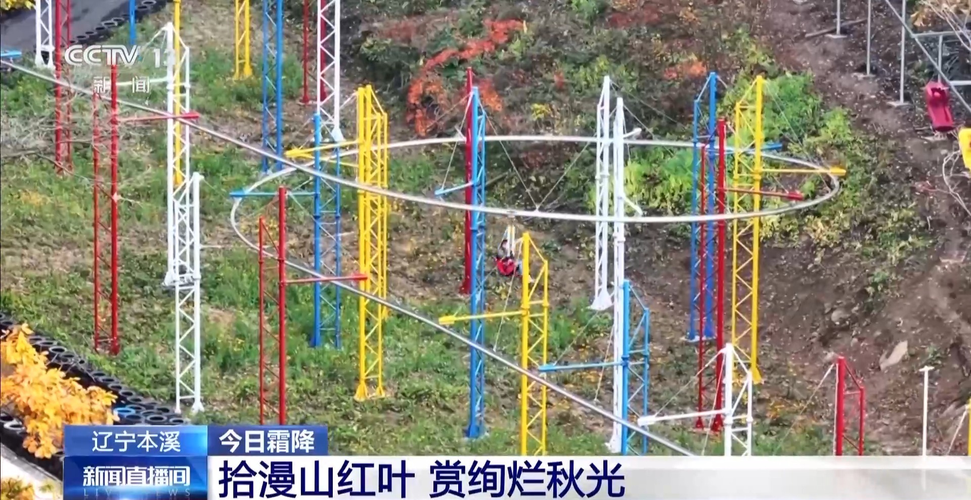 欣赏枫叶、品尝螃蟹、喝汤并享受众多的大理石花纹仪式。