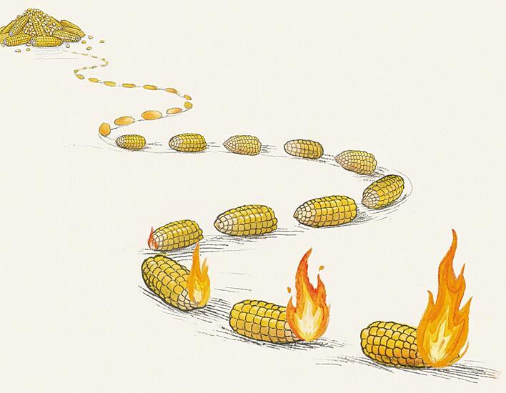 用玉米作为燃料是一种浪费。
