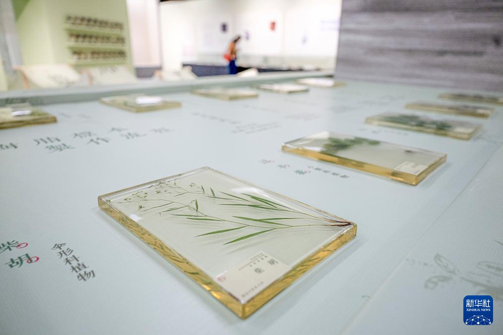 “医脉楚天，集齐——2025国文图书分享活动暨长