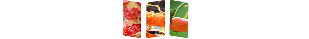 您的秋季蝴蝶结美食指南已更新