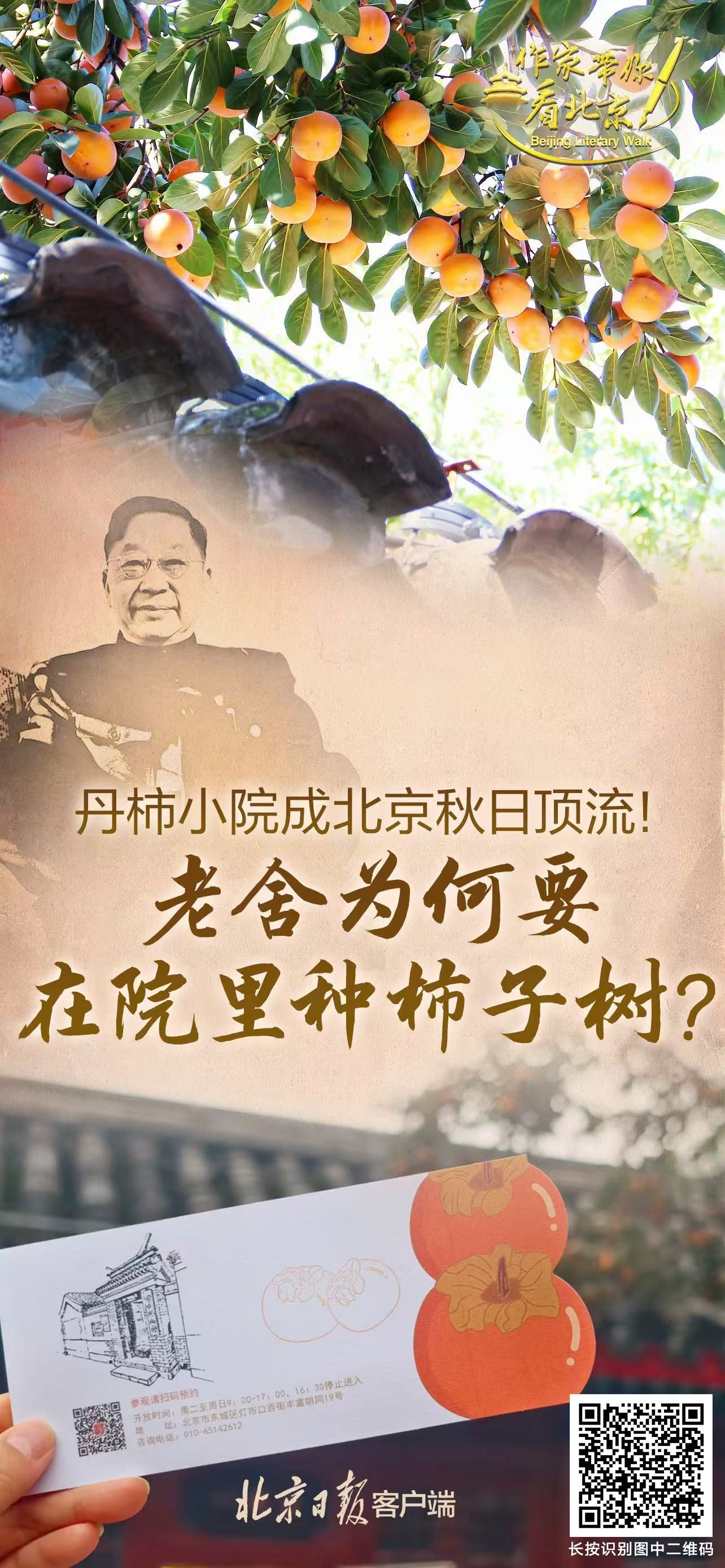 作者带你游北京 |小园丹石成为北京秋季第一旅游