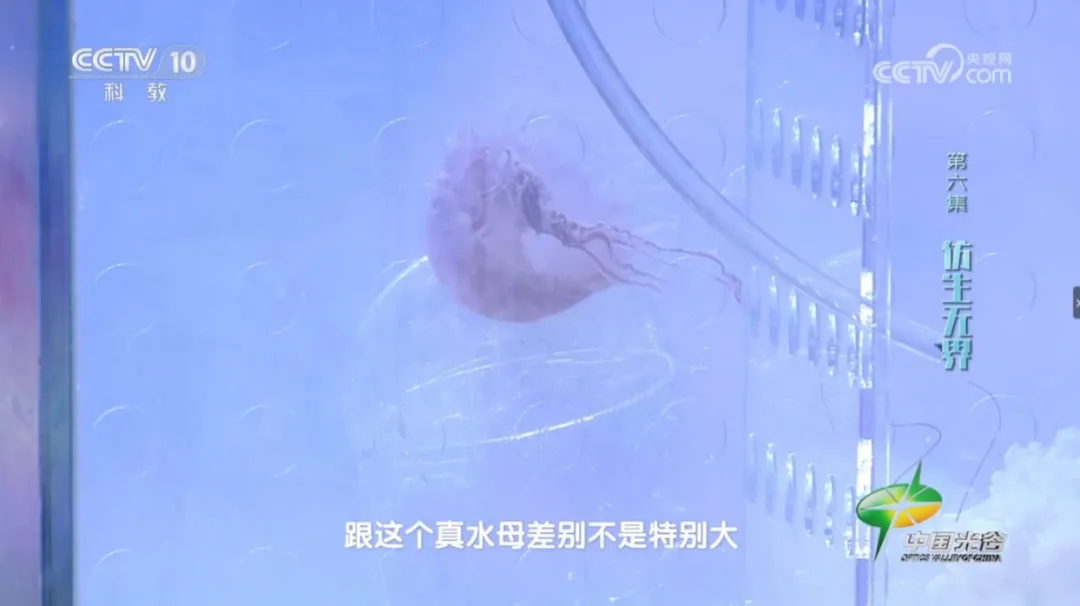 NPU的新成果只有一条尾巴