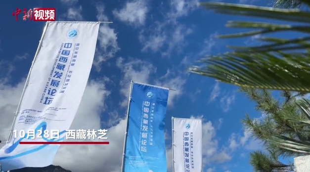 女神聯(lián)盟：契約