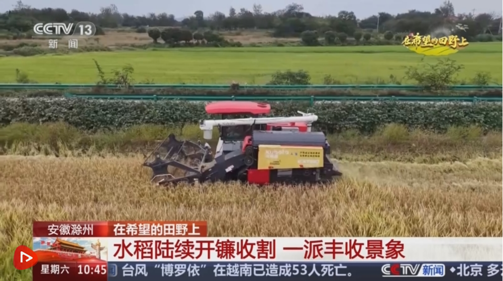 资料来源：cctv.com