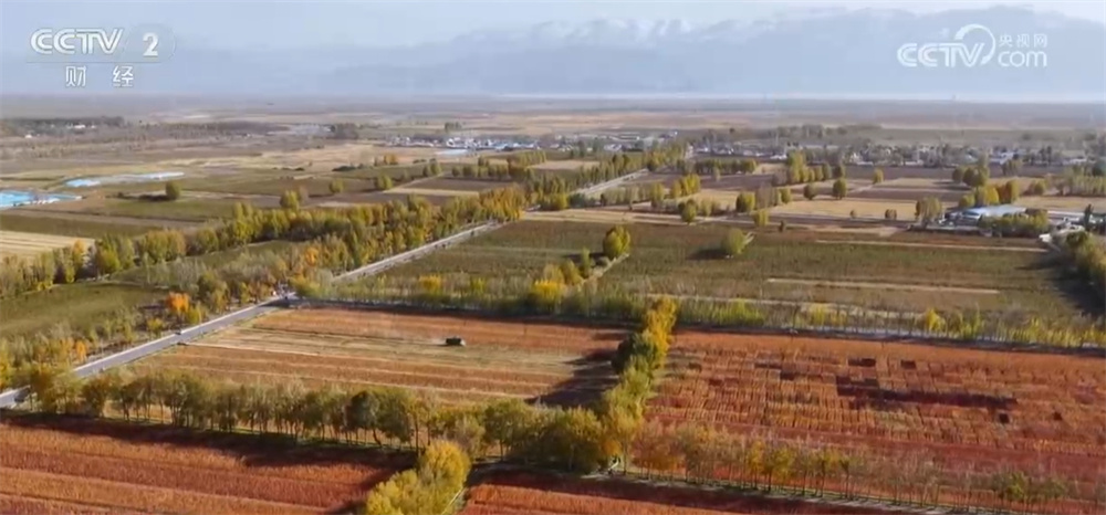 藜麦香，米金黄，仓库里装满了鱼蟹。科技赋能