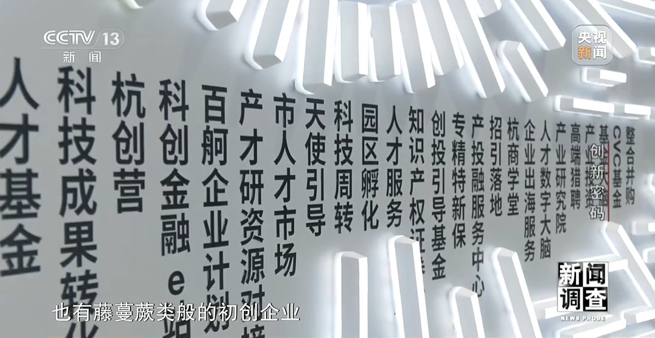 新闻调查丨领跑全球！解锁杭州“六小龙”崛起背后的创新密码(图34)